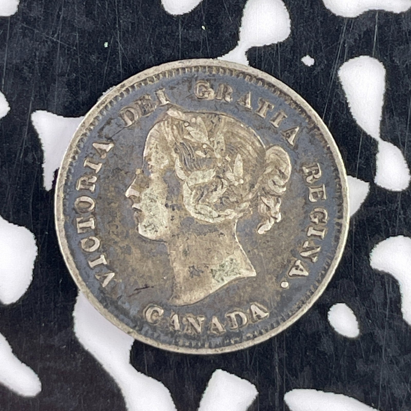 1891 Canada 5 Cents Lot#F2524 Silver! Nice!