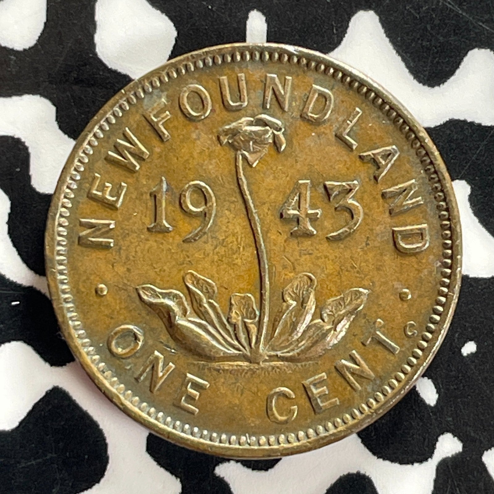 1943-C Newfoundland Small Cent Lot#C4614 Nice!