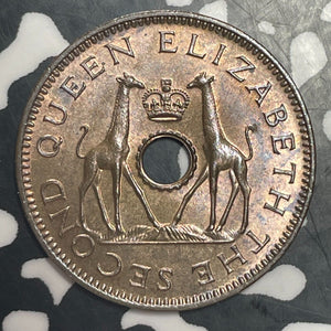 1957 Rhodesia & Nyasaland 1/2 Penny Lot#T1993 High Grade! Beautiful!