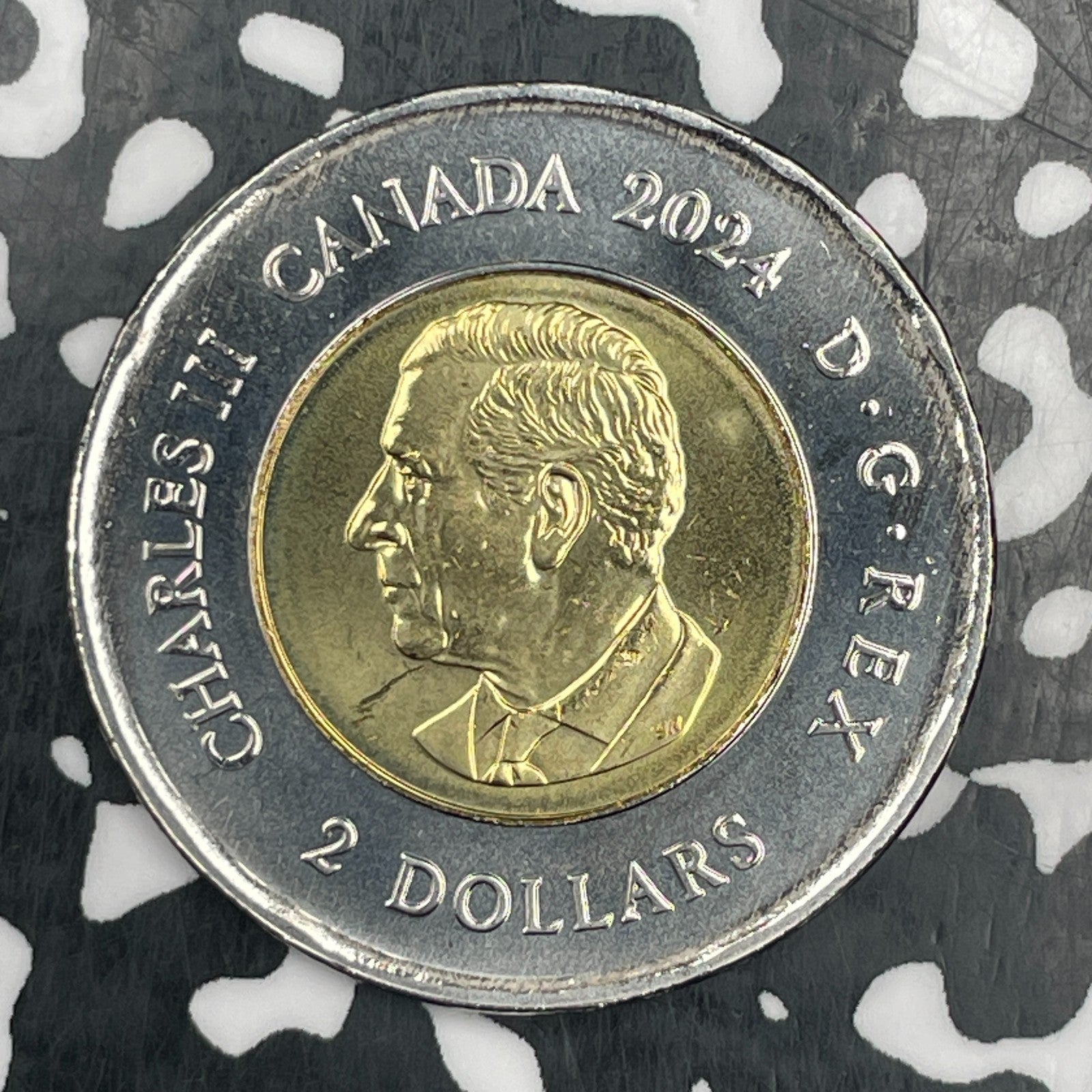 2024 Canada $2 Dollars Lot#N0358 High Grade! Beautiful!