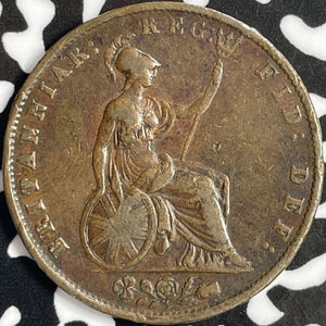 1855 Great Britain 1/2 Penny Half Penny Lot#D8743