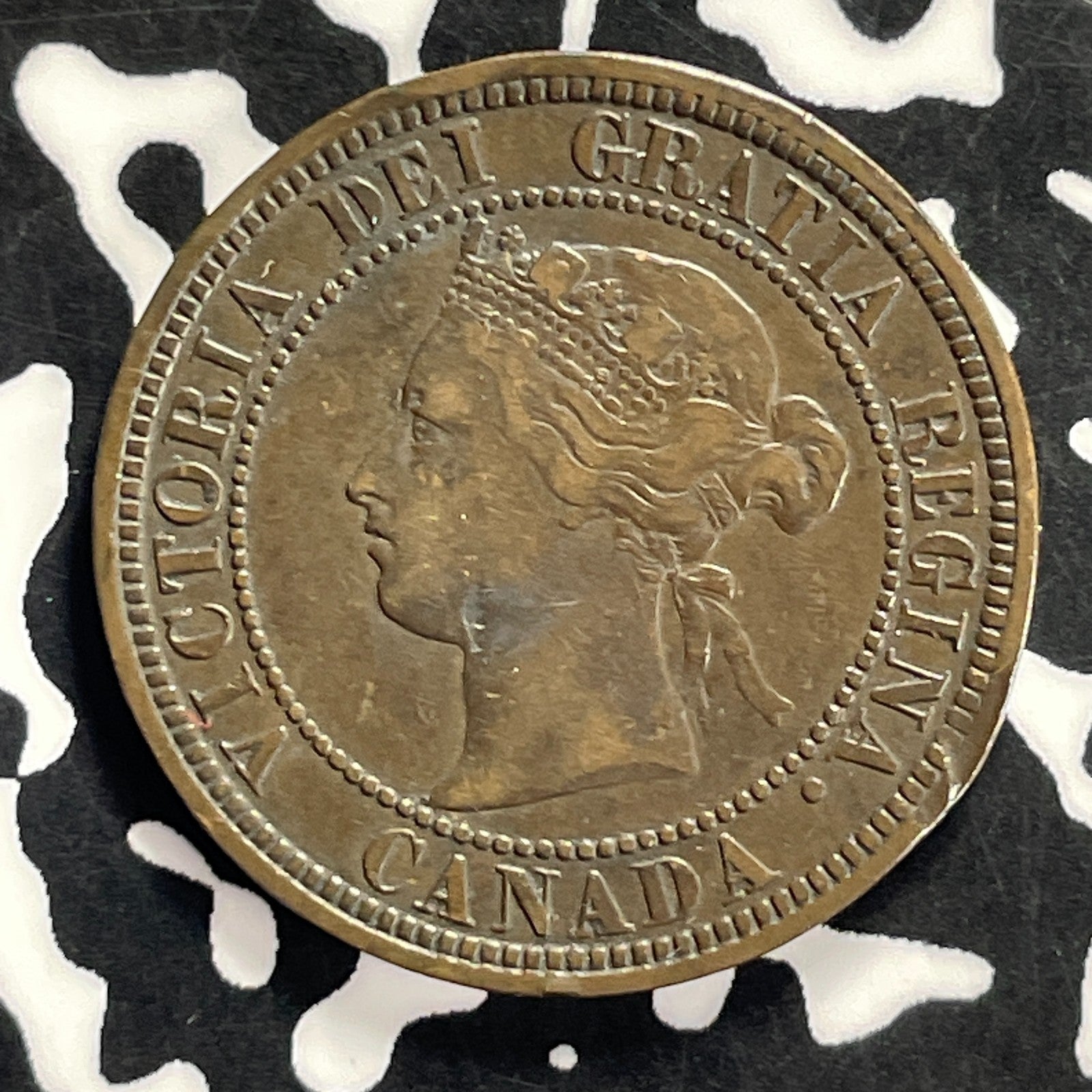 1876-H Canada Large Cent Lot#T9469 Rim Damage