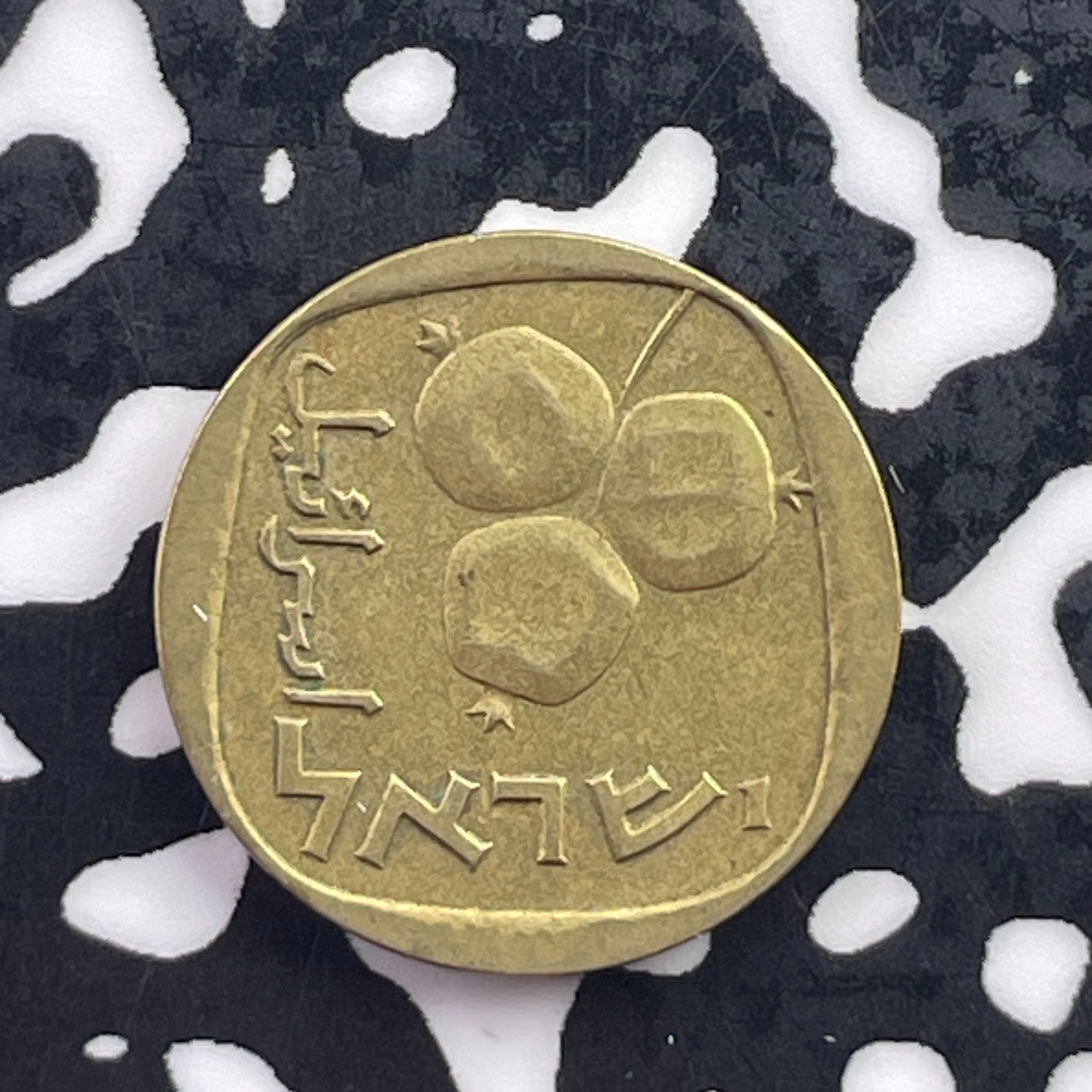 (1964) Israel 5 Agorot Lot#C5941 Key Date!