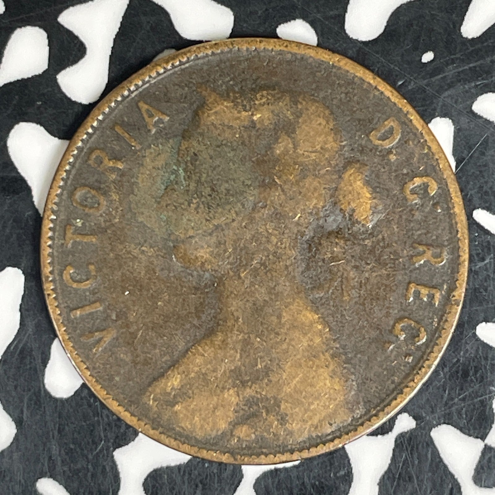 1872-H Newfoundland Large Cent Lot#C6147