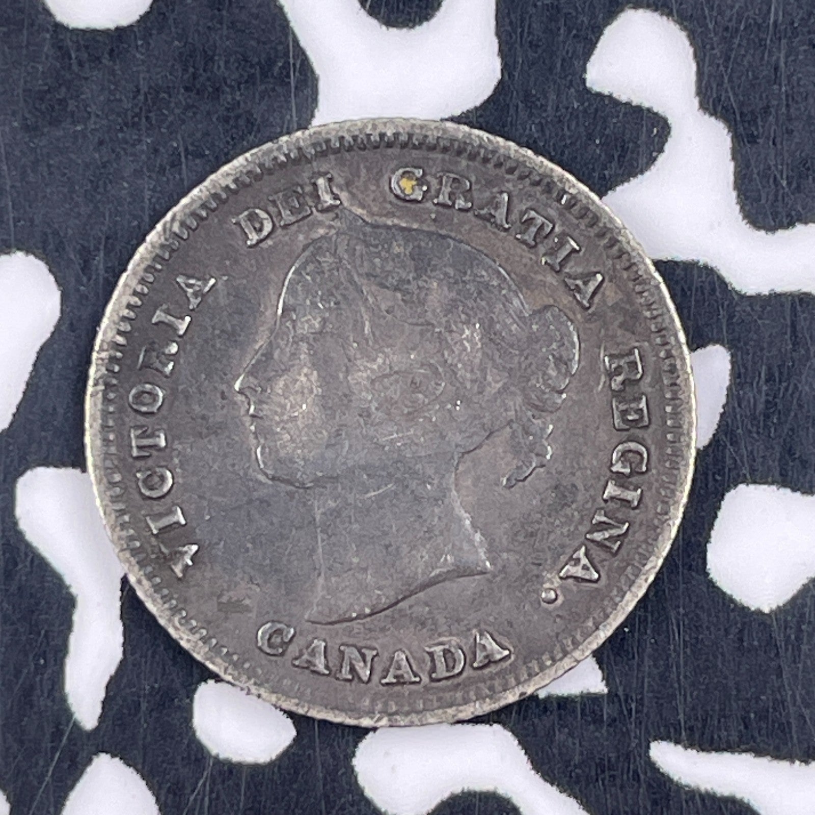 1891 Canada 5 Cents Lot#F5023 Silver!