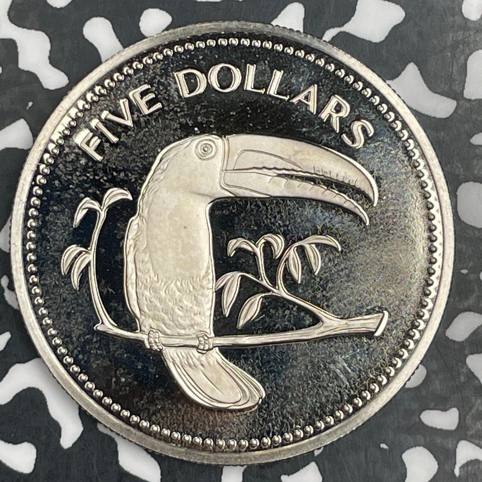 1975 Belize $5 Dollars Lot#F9607 Proof!