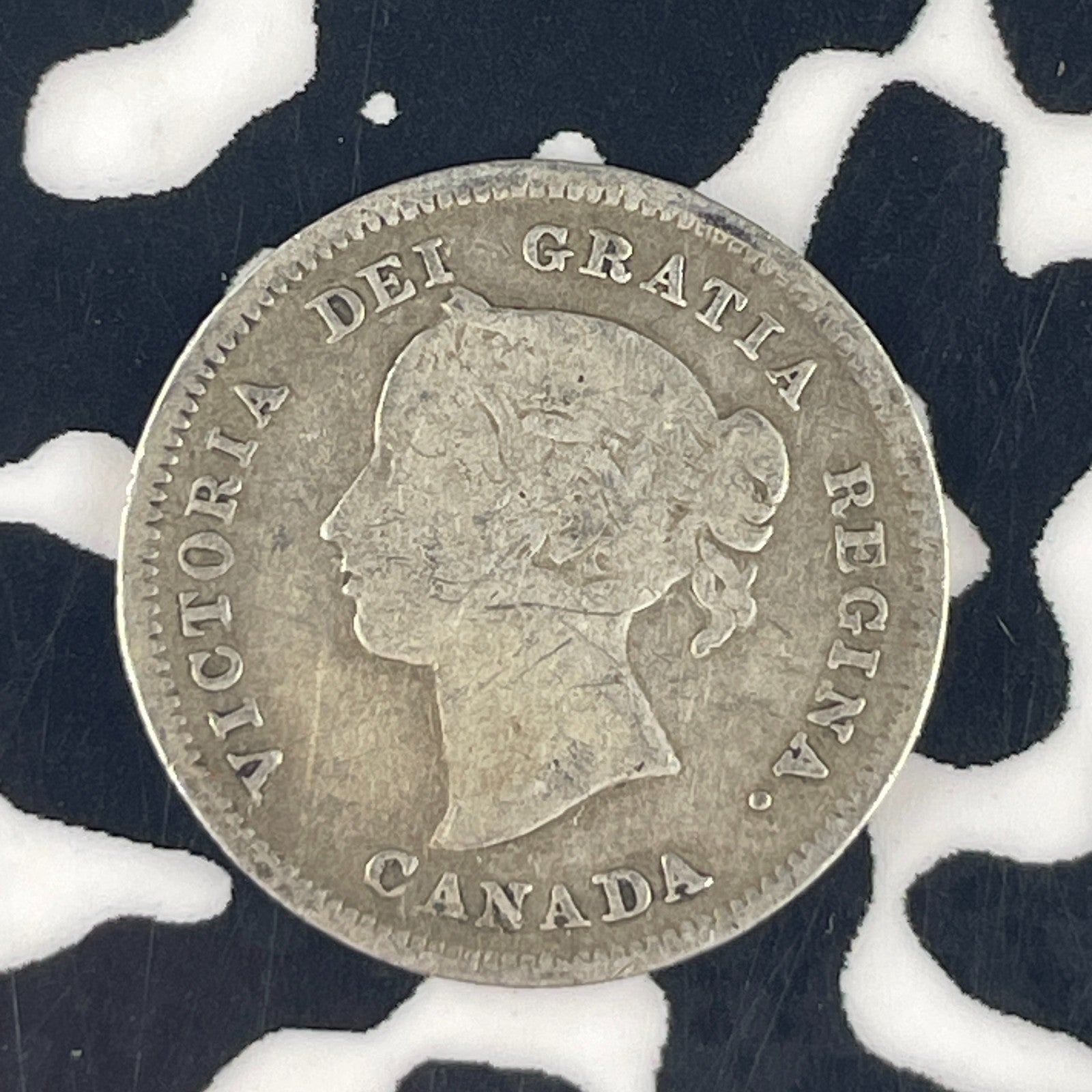 1888 Canada 5 Cents Lot#F4518 Silver!