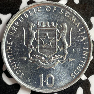 1999 Somalia 10 Shillings Lot#D1581 High Grade! Beautiful! F.A.O.